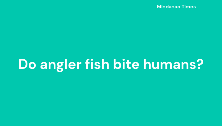 Do angler fish bite humans?