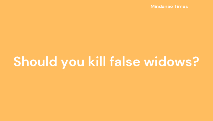 Should you kill false widows?