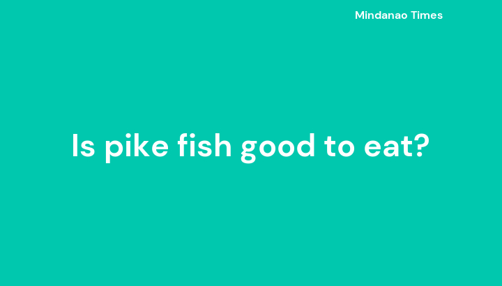 Is pike fish good to eat?