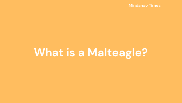 What is a Malteagle?