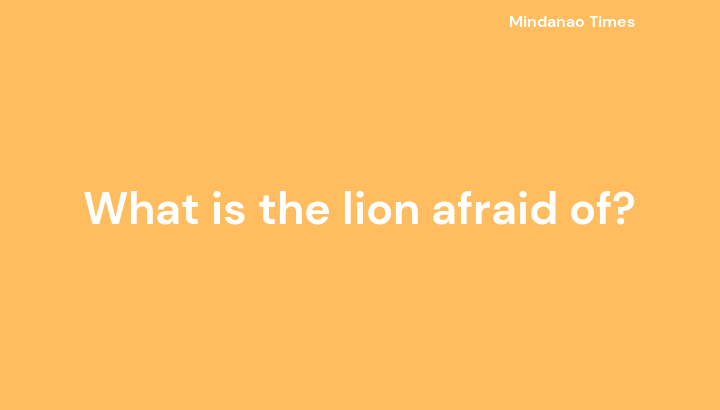 What is the lion afraid of?