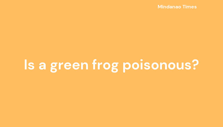 Is a green frog poisonous?