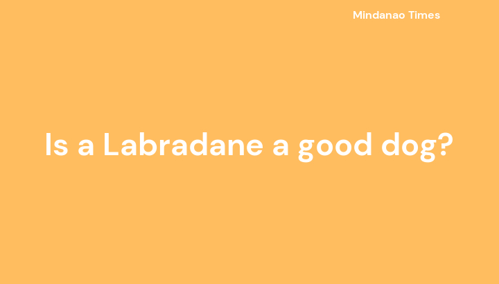 Is a Labradane a good dog?