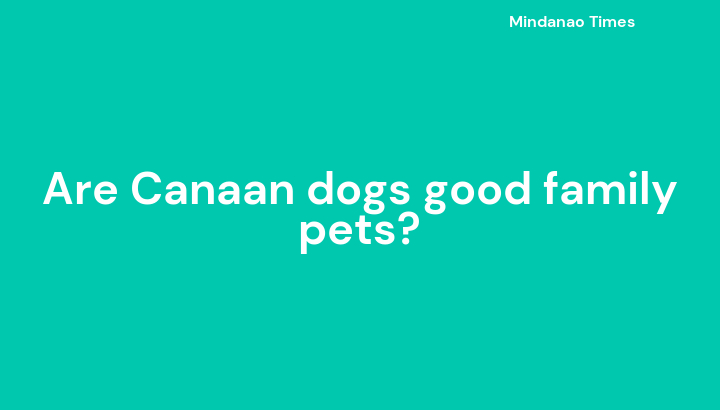 Are Canaan dogs good family pets?