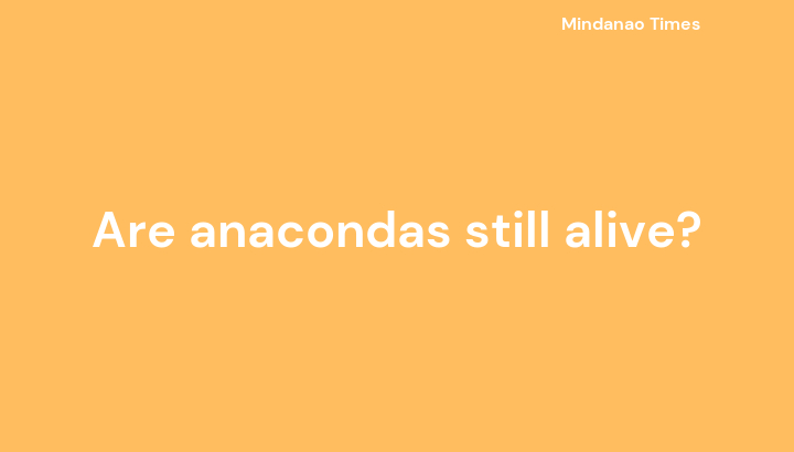Are anacondas still alive?