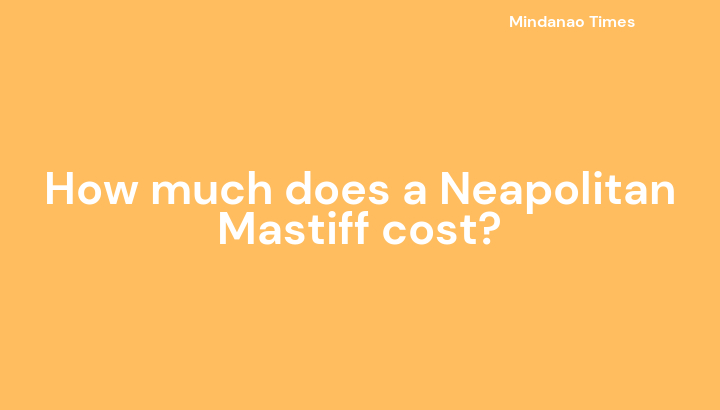 How much does a Neapolitan Mastiff cost?