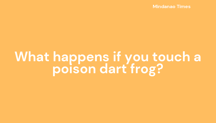 What happens if you touch a poison dart frog?