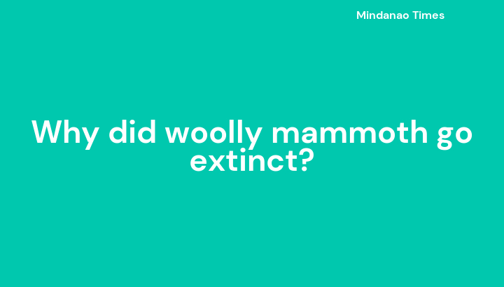 Why did woolly mammoth go extinct?