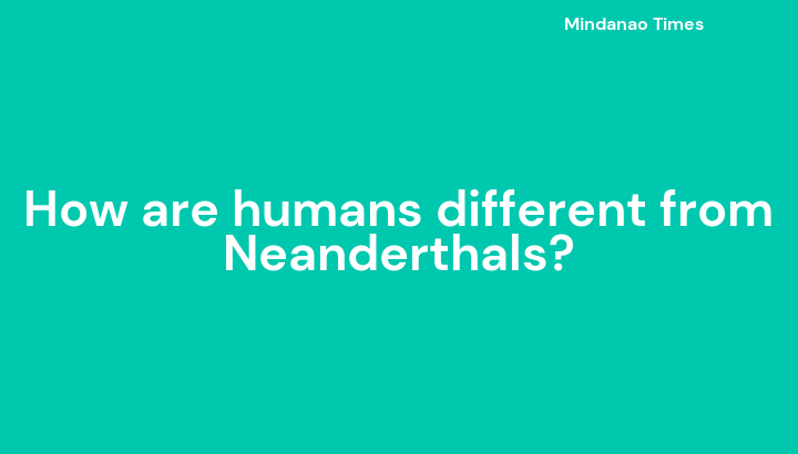 How are humans different from Neanderthals?