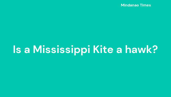 Is a Mississippi Kite a hawk?