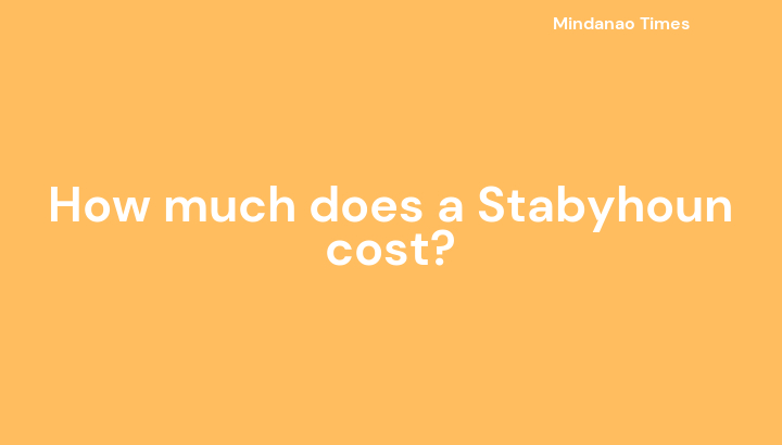 How much does a Stabyhoun cost?