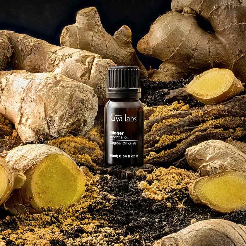Incredible Uses Of Ginger Essential Oil