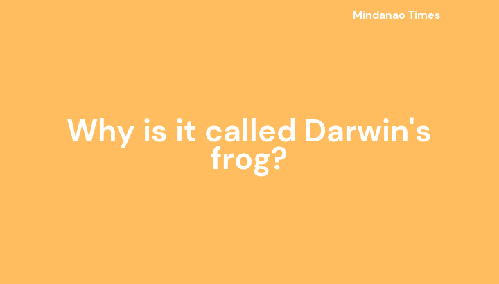 Why is it called Darwin's frog?