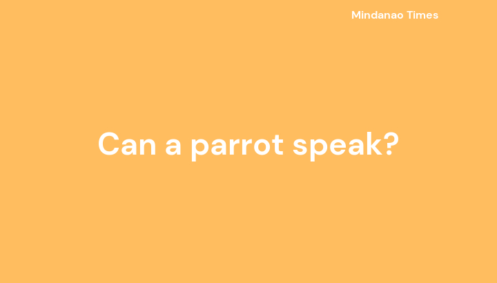 Can a parrot speak?
