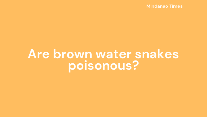 Are brown water snakes poisonous?