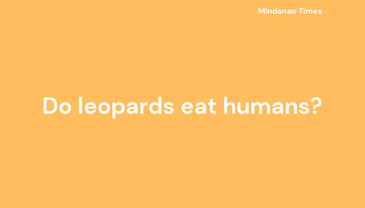 Do leopards eat humans?