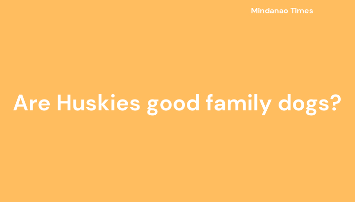 Are Huskies good family dogs?