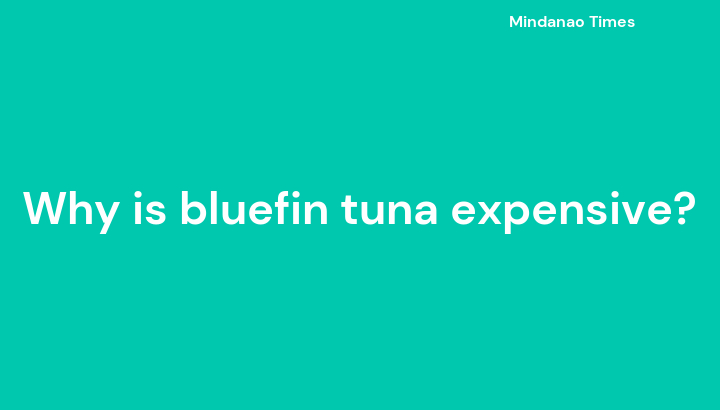 Why is bluefin tuna expensive?