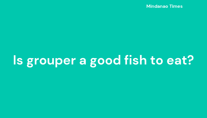 Is grouper a good fish to eat?