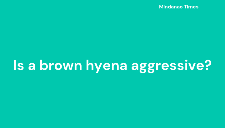 Is a brown hyena aggressive?