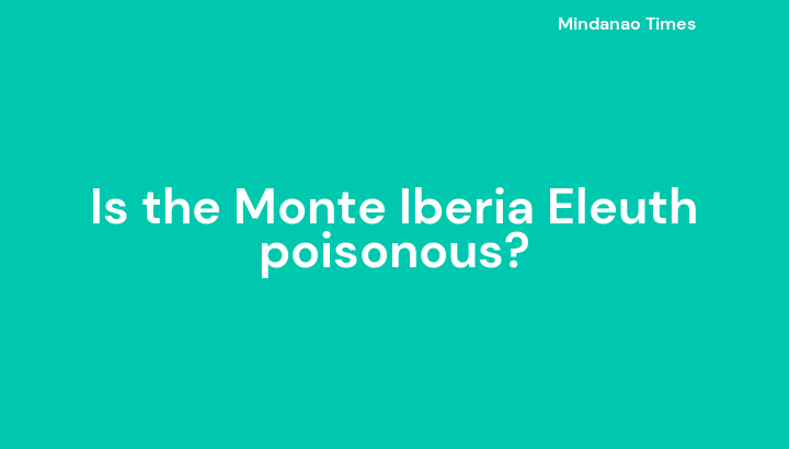 Is the Monte Iberia Eleuth poisonous?