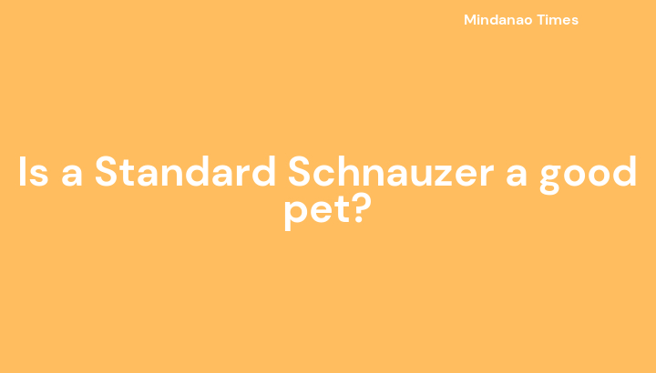 Is a Standard Schnauzer a good pet?