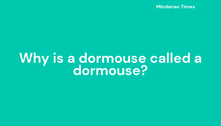 Why is a dormouse called a dormouse?