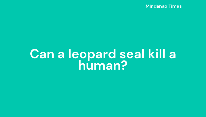Can a leopard seal kill a human?