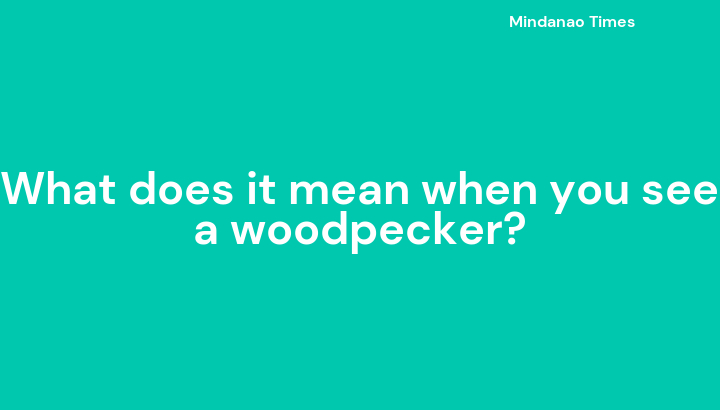 What does it mean when you see a woodpecker?