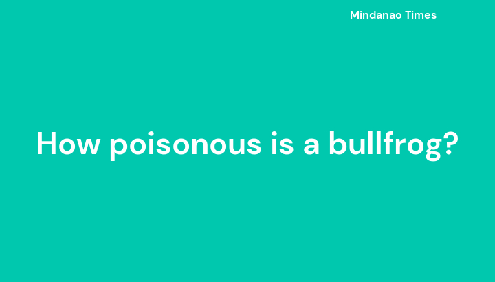 How poisonous is a bullfrog?