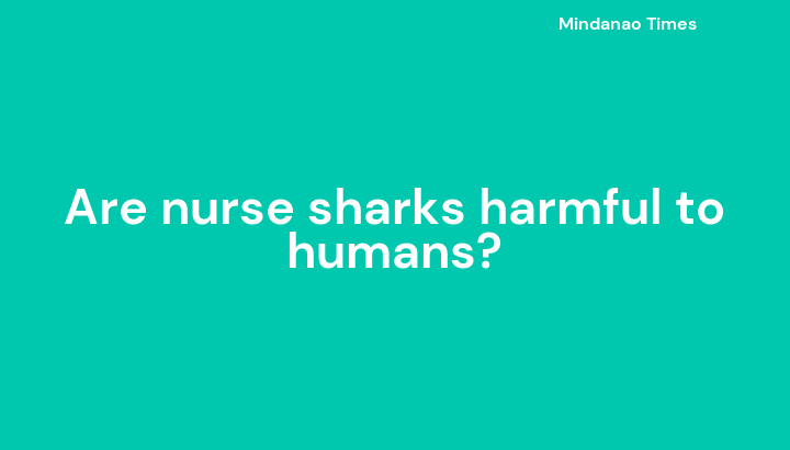 Are nurse sharks harmful to humans?