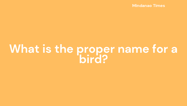 What is the proper name for a bird?