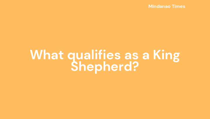 What qualifies as a King Shepherd?