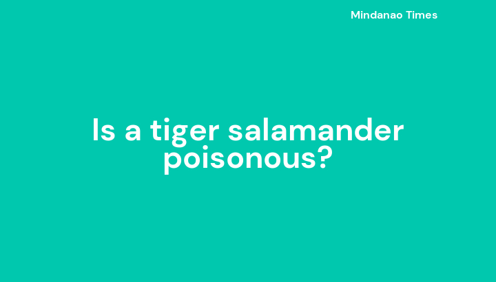 Is a tiger salamander poisonous?