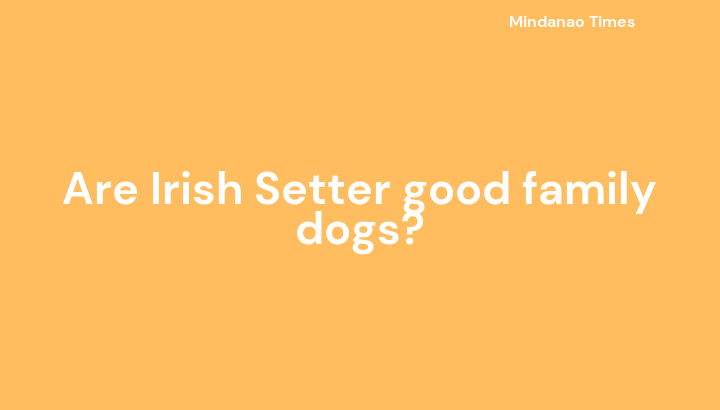 Are Irish Setter good family dogs?