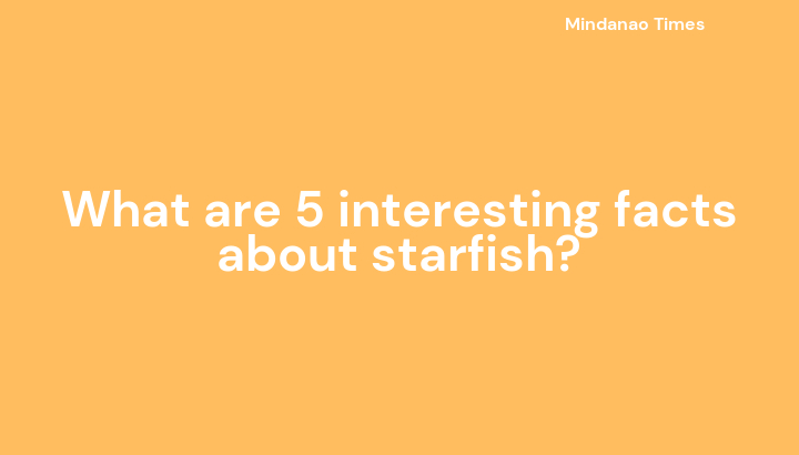 What are 5 interesting facts about starfish?