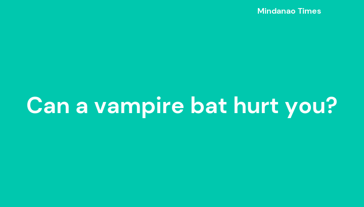 Can a vampire bat hurt you?