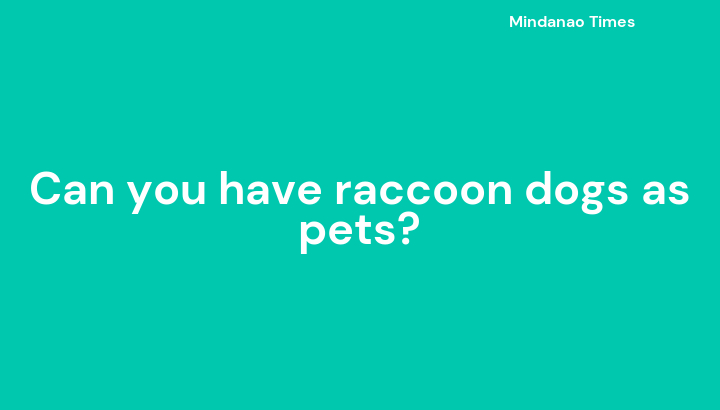 Can you have raccoon dogs as pets?
