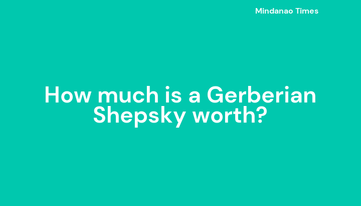 How much is a Gerberian Shepsky worth?