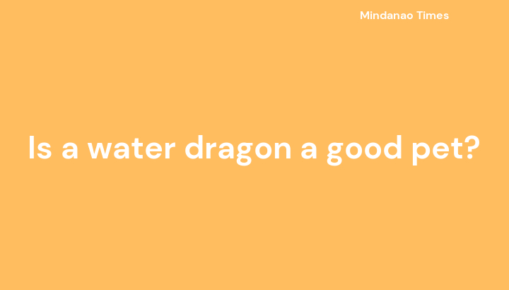 is-a-water-dragon-a-good-pet