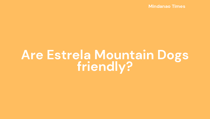 Are Estrela Mountain Dogs friendly?