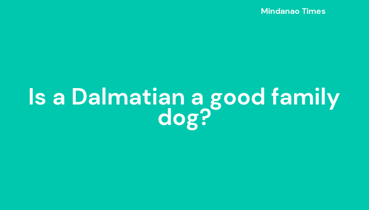 Is a Dalmatian a good family dog?
