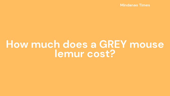 How much does a GREY mouse lemur cost?