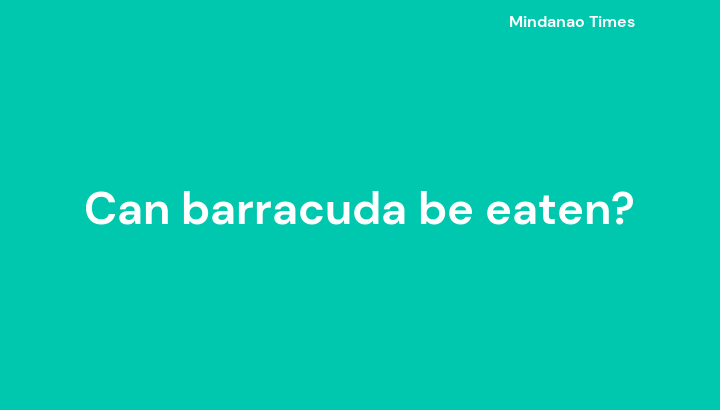 Can barracuda be eaten?