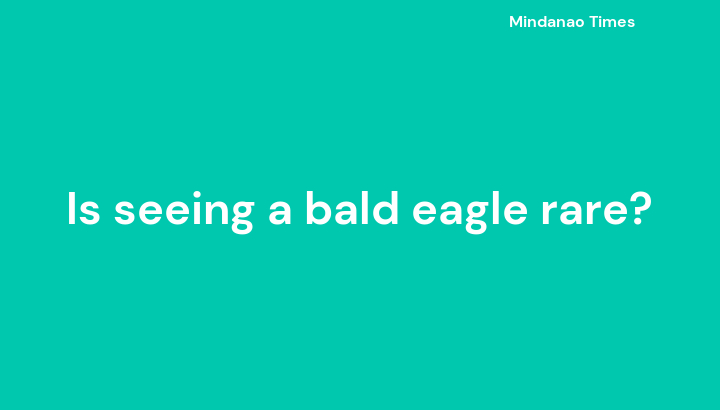 Is seeing a bald eagle rare?