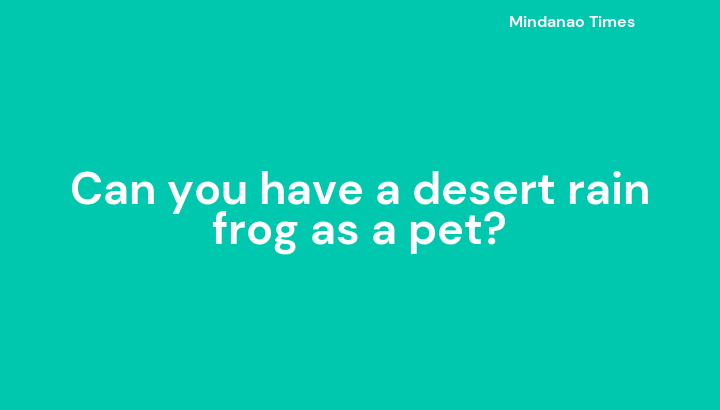 Can you have a desert rain frog as a pet?