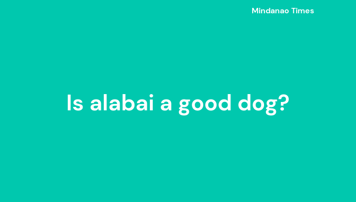 Is alabai a good dog?