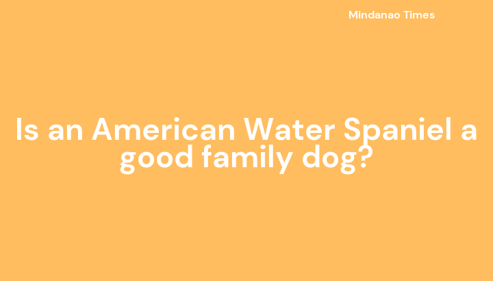 Is an American Water Spaniel a good family dog?