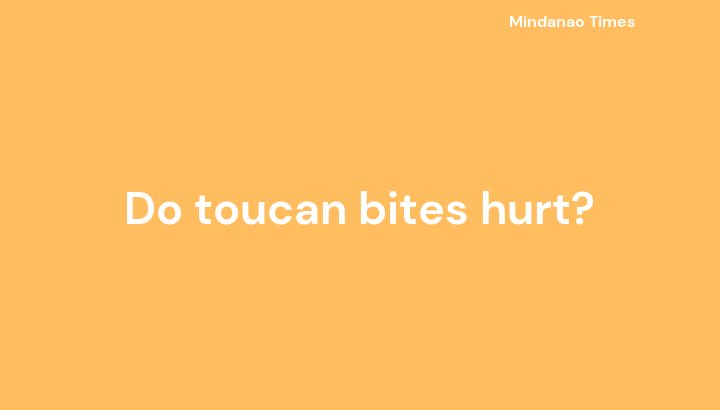 Do toucan bites hurt?