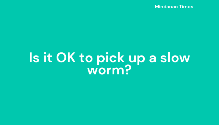 Is it OK to pick up a slow worm?